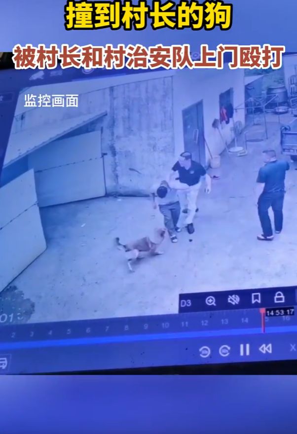 汕头男子“撞到村长的狗被上门殴打” 警方通报（2023男子撞到狗被上门殴打）