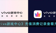 《vivo游戏中心》攻略——充值消费记录查看方法