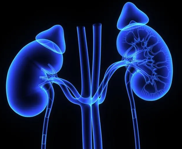 斯里兰卡老兵体内取出801克“世界最大肾结石”（2023老兵体内取出801克结石）