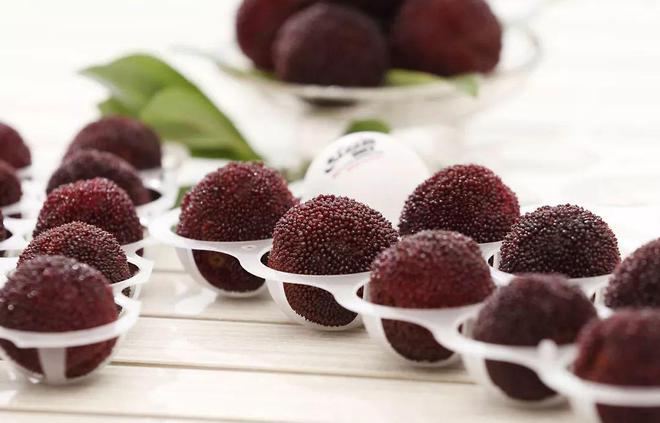 浙江男子狂吃20天杨梅 把自己吃到做血液透析（2023男子吃20天杨梅吃到做血透）