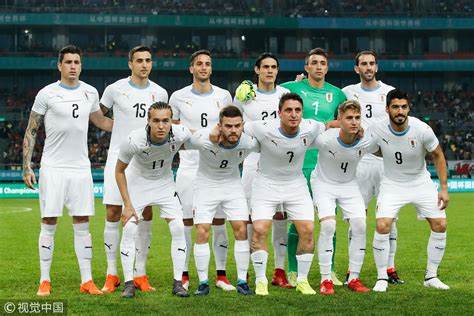 乌拉圭因进球数落后韩国1个排名小组第三，与加纳一起淘汰