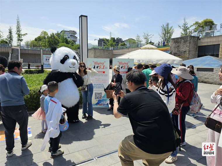 成都都江堰大熊猫会” 自拍“吸粉”！