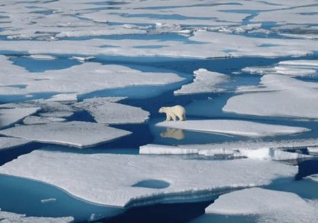 南极海冰面积持续降低，海冰融化危机不容忽视（2023南极海冰融化）