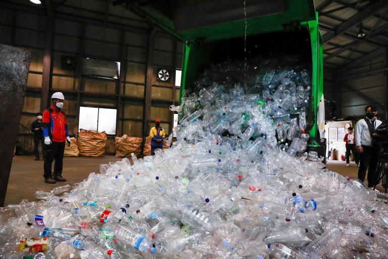 治理塑料污染 多国专家称赞并倡议“以竹代塑”（2023多国专家倡议以竹代塑）