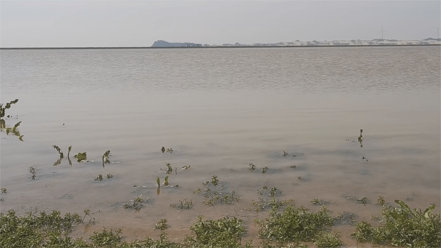 我国最大的淡水湖鄱阳湖水位上涨快速，重回8米线以上